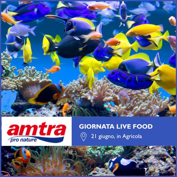 Giornata dedicata al live food in Agricola.